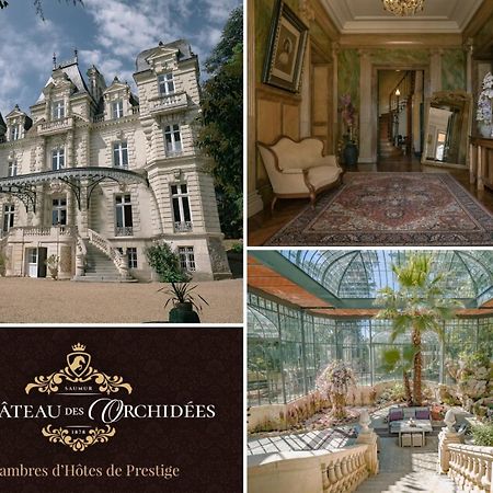 Chateau Des Orchidees En Val De Loire Saumur Eksteriør billede