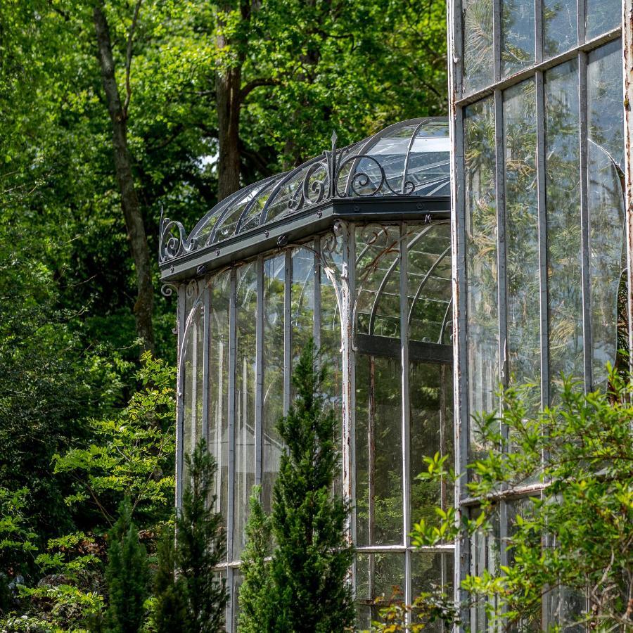 Chateau Des Orchidees En Val De Loire Saumur Eksteriør billede