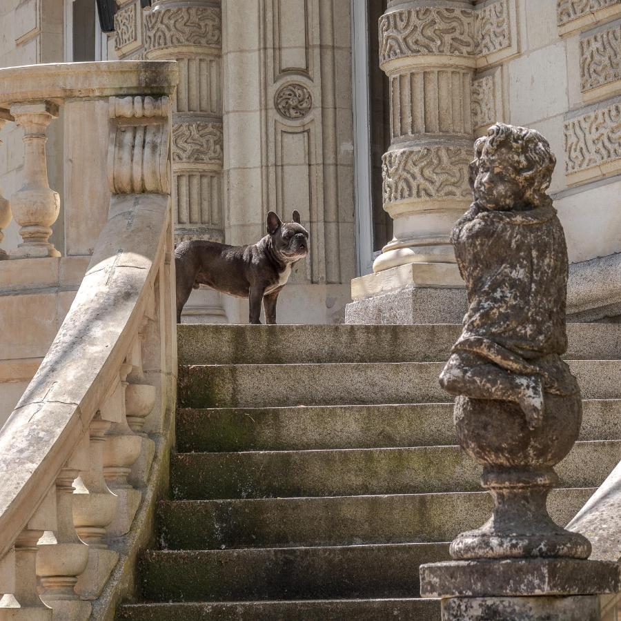 Chateau Des Orchidees En Val De Loire Saumur Eksteriør billede